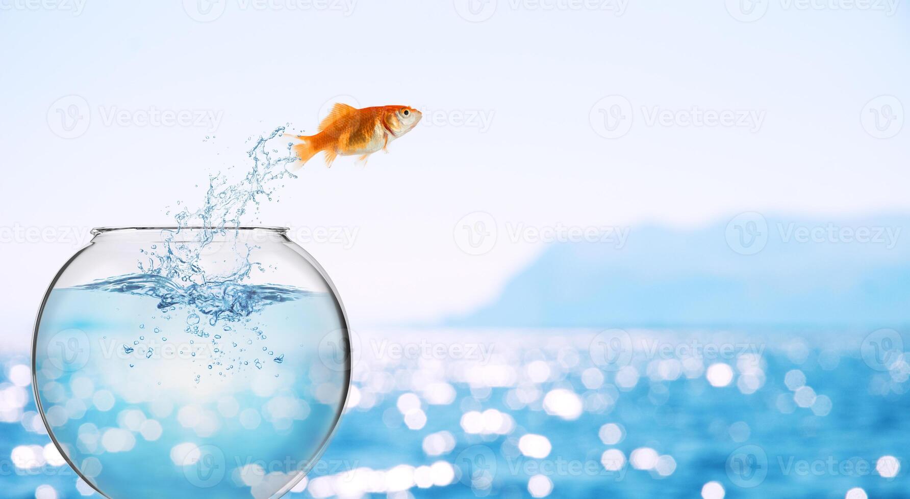 Goldfish leaps out of the aquarium to throw itself into the sea photo