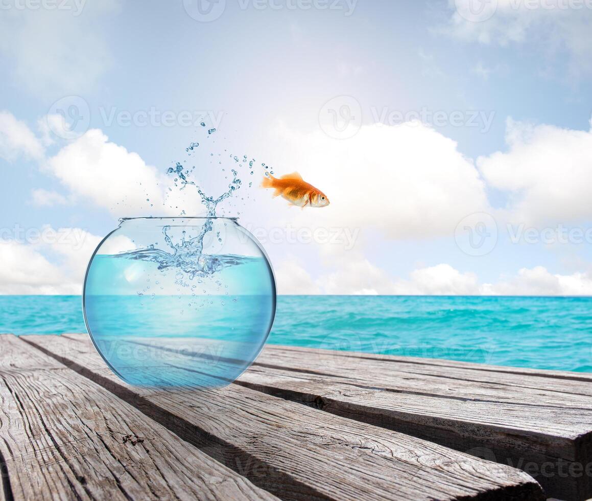 Goldfish leaps out of the aquarium to throw itself into the sea photo