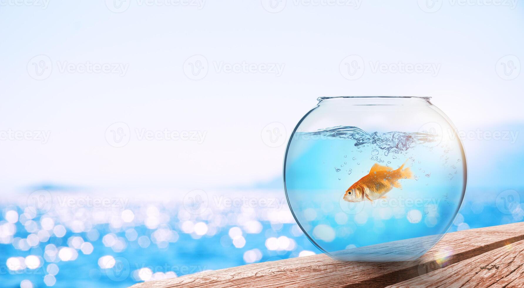 Goldfish leaps out of the aquarium to throw itself into the sea photo