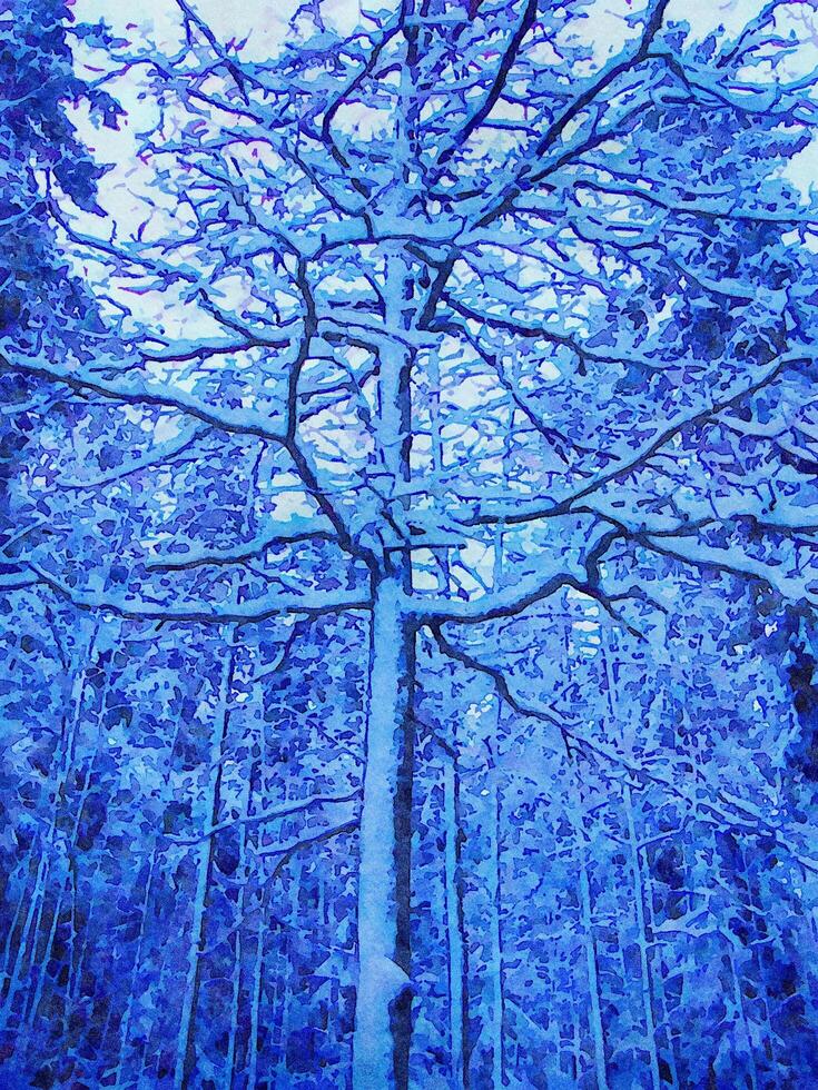 Digital watercolor style of a snowy tree in the woods during winter in northern scandinavia photo