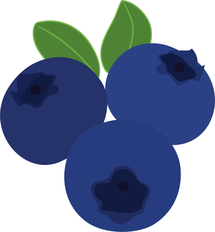 blueberry cartoon clipart png