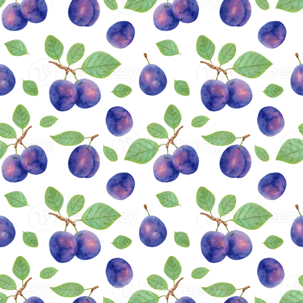 Seamless fruit pattern of purple plums with leaves.Botanical illustration with markers and watercolour.Background of plum fruits for the design of food packaging, tablecloths. Hand drawn illustration. png