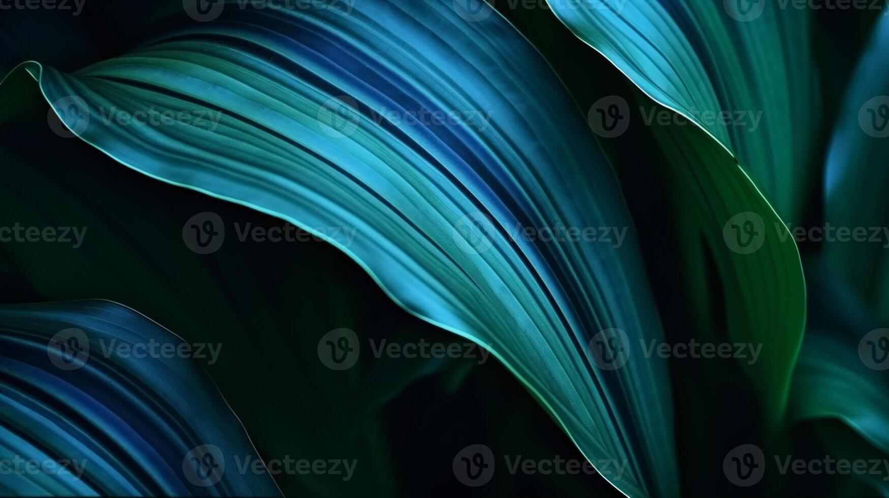 AI generated A bright blue and green tropical forest plant, Spathiphyllum cannifolium, is detailedly displayed against a dark natural background for a botanical and abstract wallpaper. photo