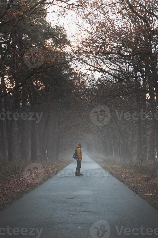 viajero camina a lo largo un la carretera en el Mañana niebla en el chispa verde kalmthoutse heide cerca Amberes en noroeste Bélgica foto