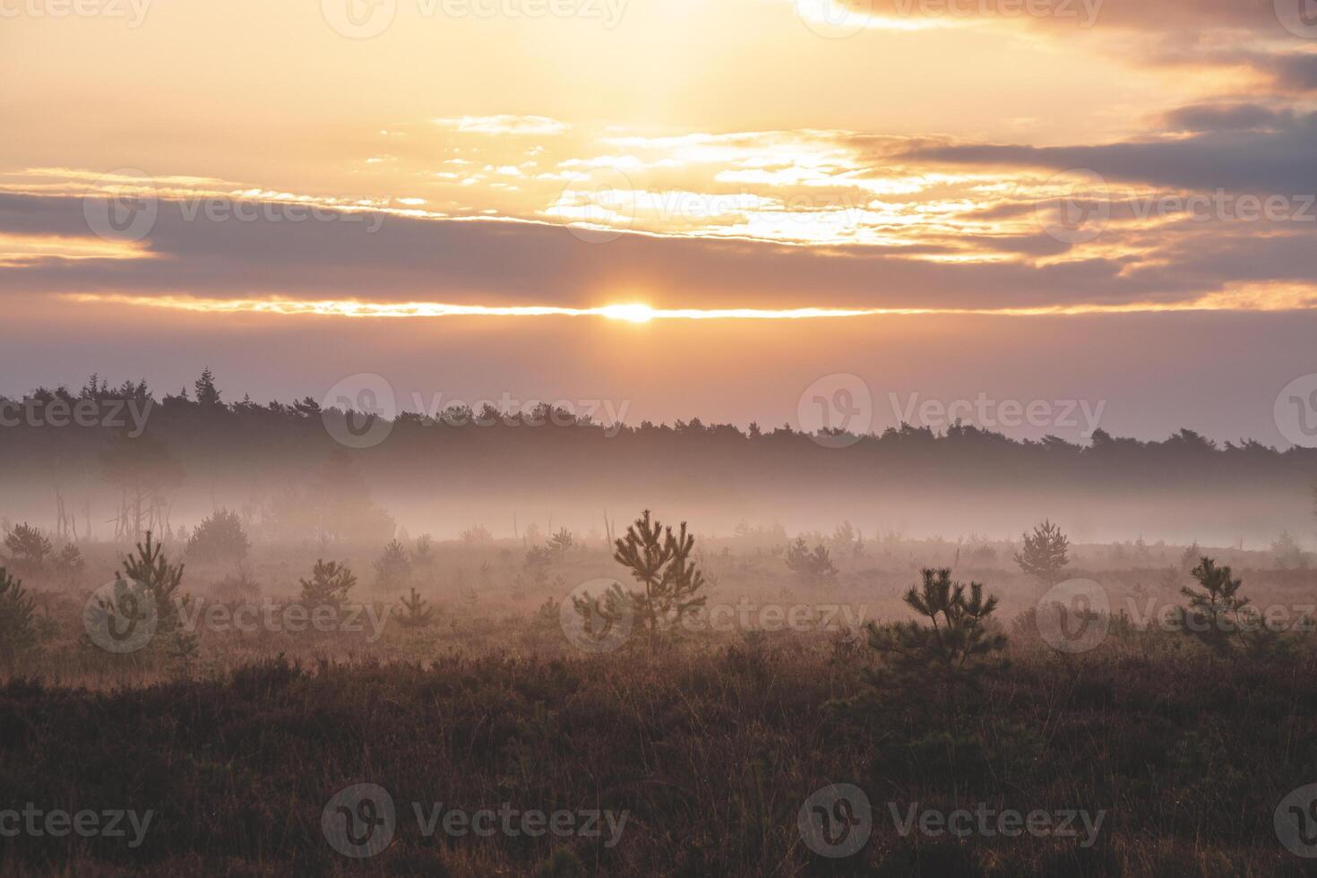 naranja Mañana Dom ilumina un arenoso camino y un paisaje envuelto en niebla mediante el chispa verde kalmthoutse heide cerca Amberes en noroeste Bélgica foto