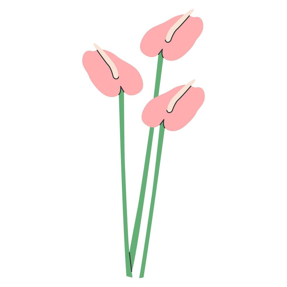 calla lirio flor aislado en blanco fondo.saludo tarjeta modelo diseño, rosado calla flor mano dibujado vector ilustración eps 10