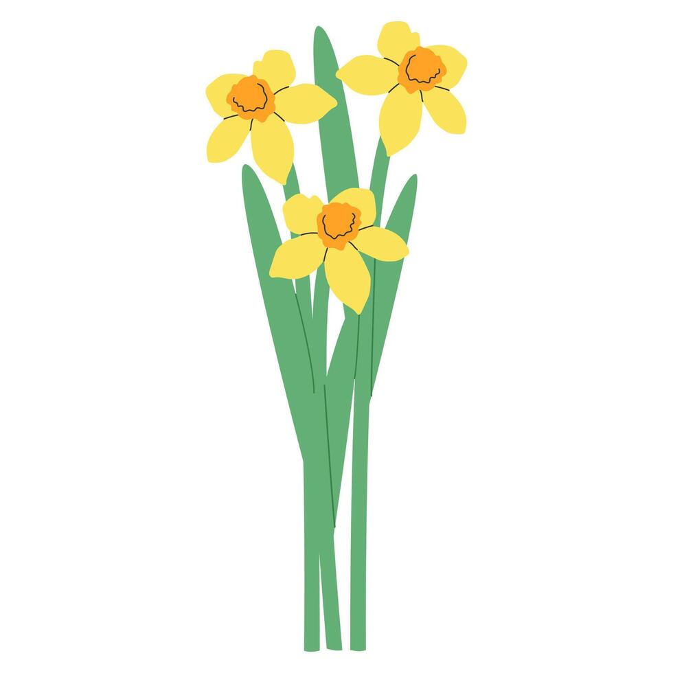 Narcissus flower.Cartoon drawings spring bouquet of yellow narcissus.Clip art for bright festive greeting card, poster, banner.Vector illustration EPS 10 vector