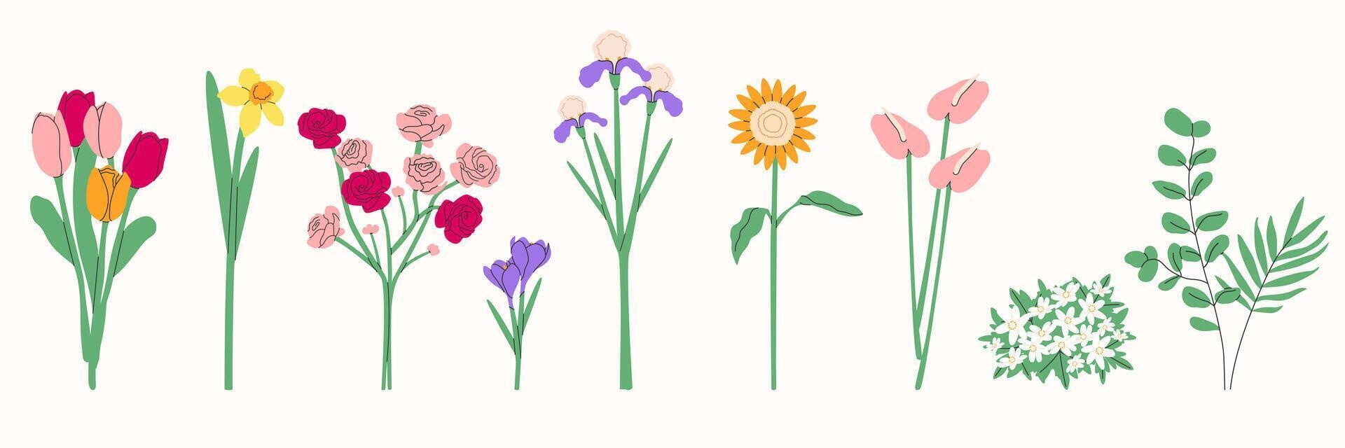 Flower bouquet.Spring and summer flowers, plants for decoration, blooming herbs isolated on white background.Hand drawn set.Vector illustration EPS 10 vector