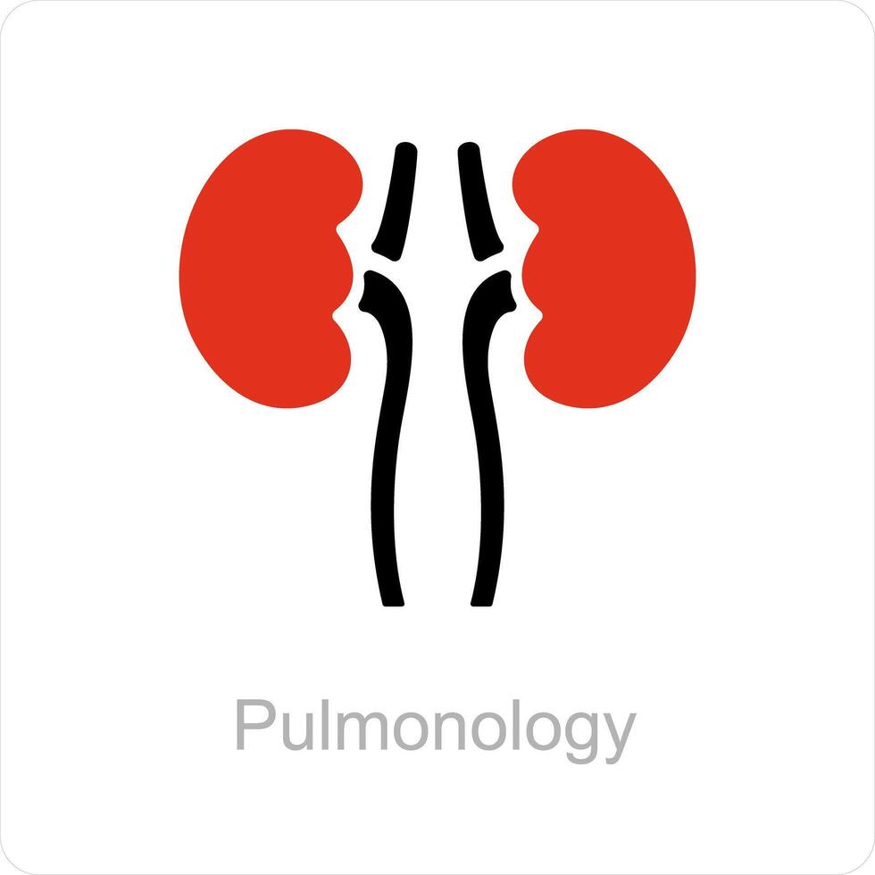 pulmonology and anatomy icon concept vector