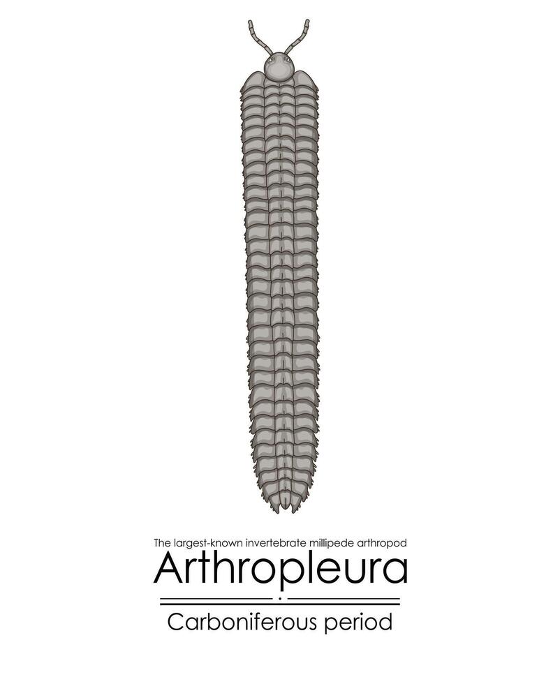 artropleura, el más grande conocido invertebrado, vector