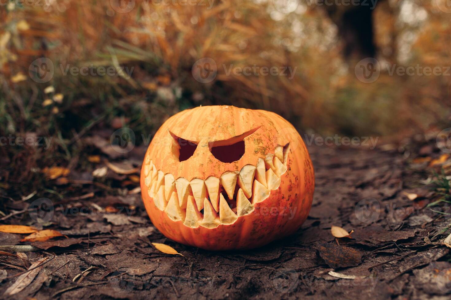 halloween jack-o-lantern with antropomorfic smiling face on autumn leaves Outdoor photo