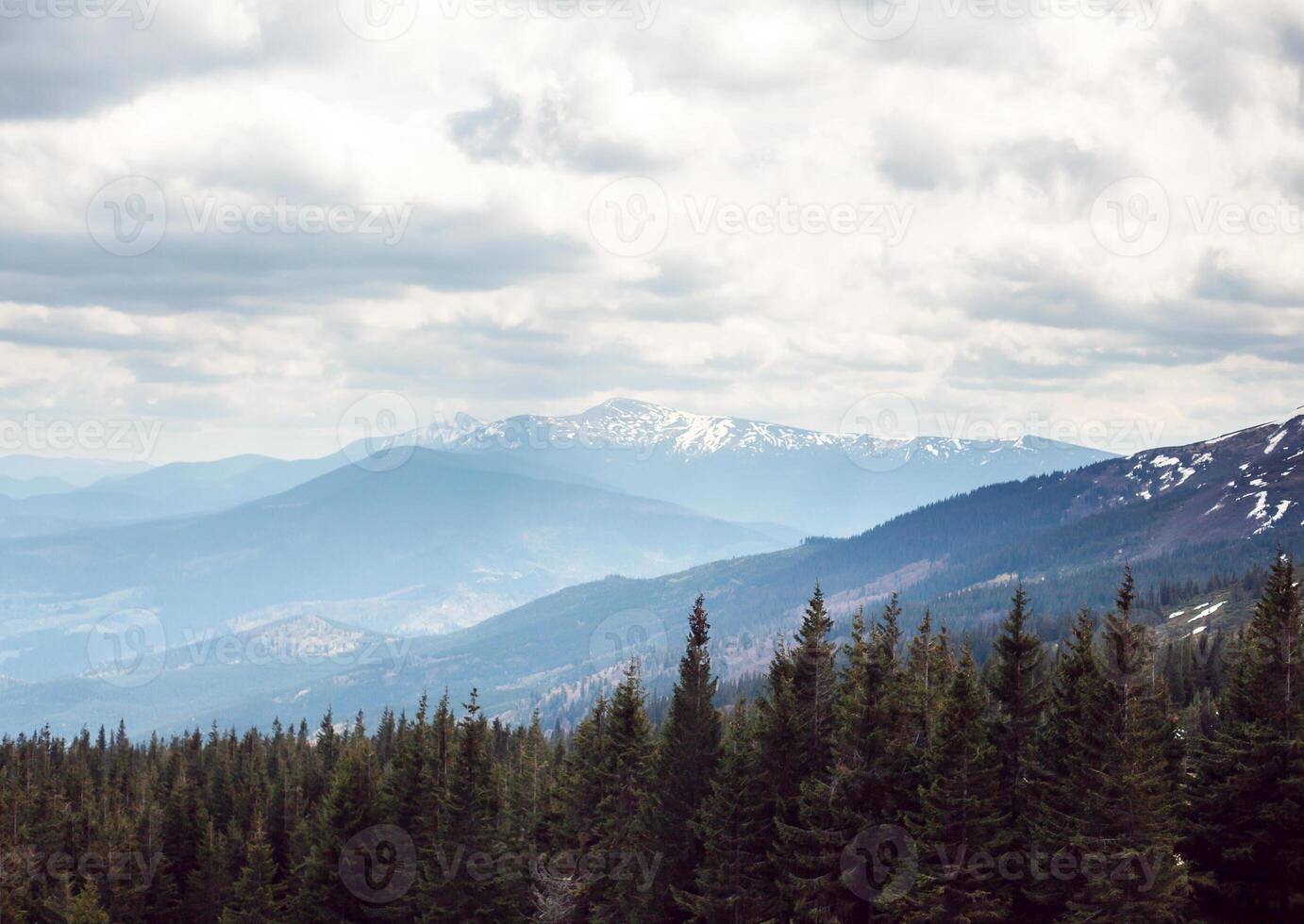 green grass with blue sky and snow mountain photo