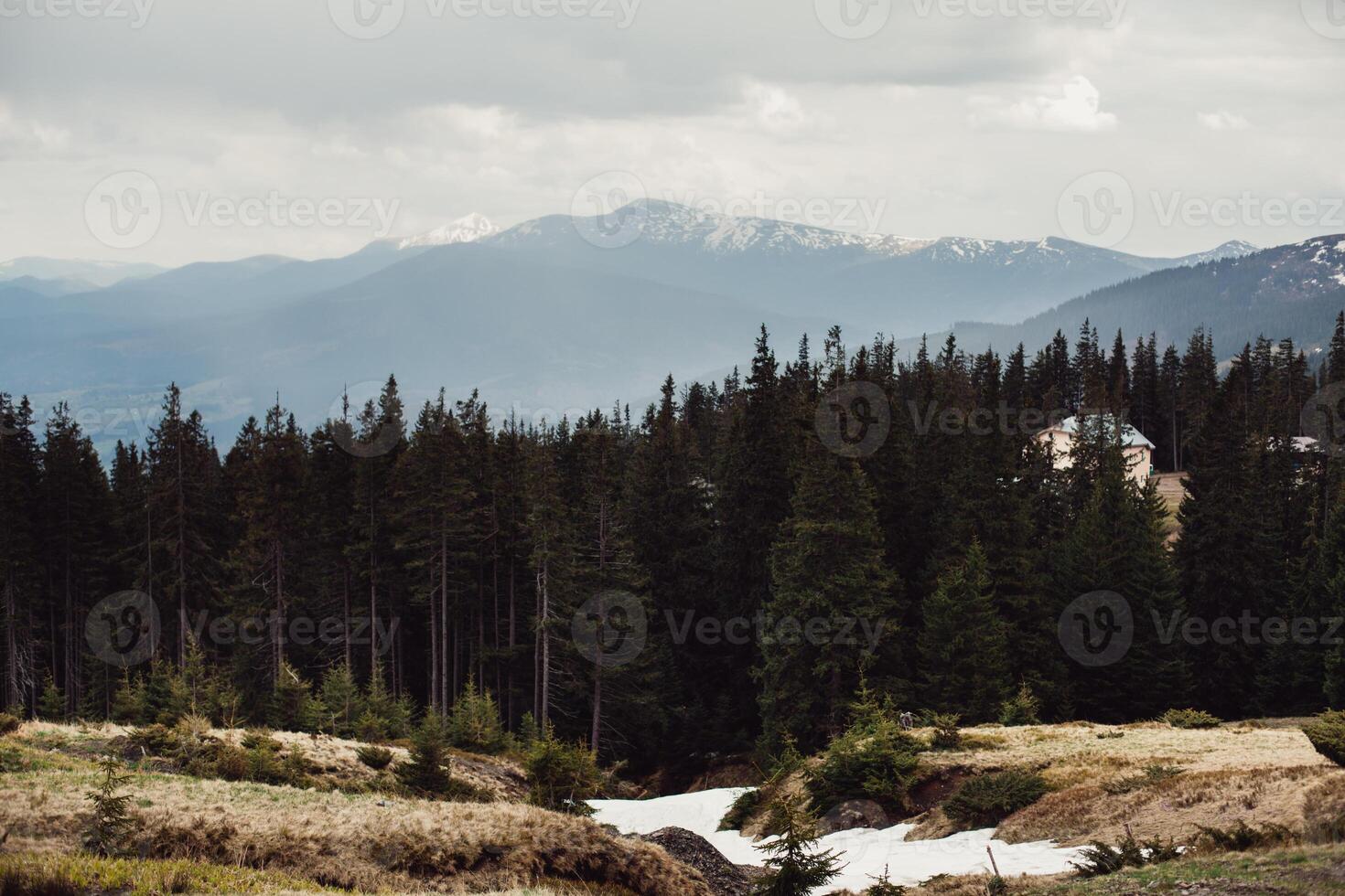 landscape in mountains Carpathians Ukraine photo