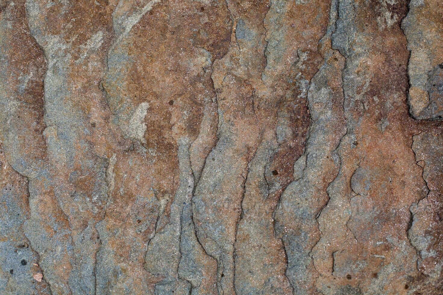 natural colored pattern on a single stone with moss and fungus wind Salts time photo