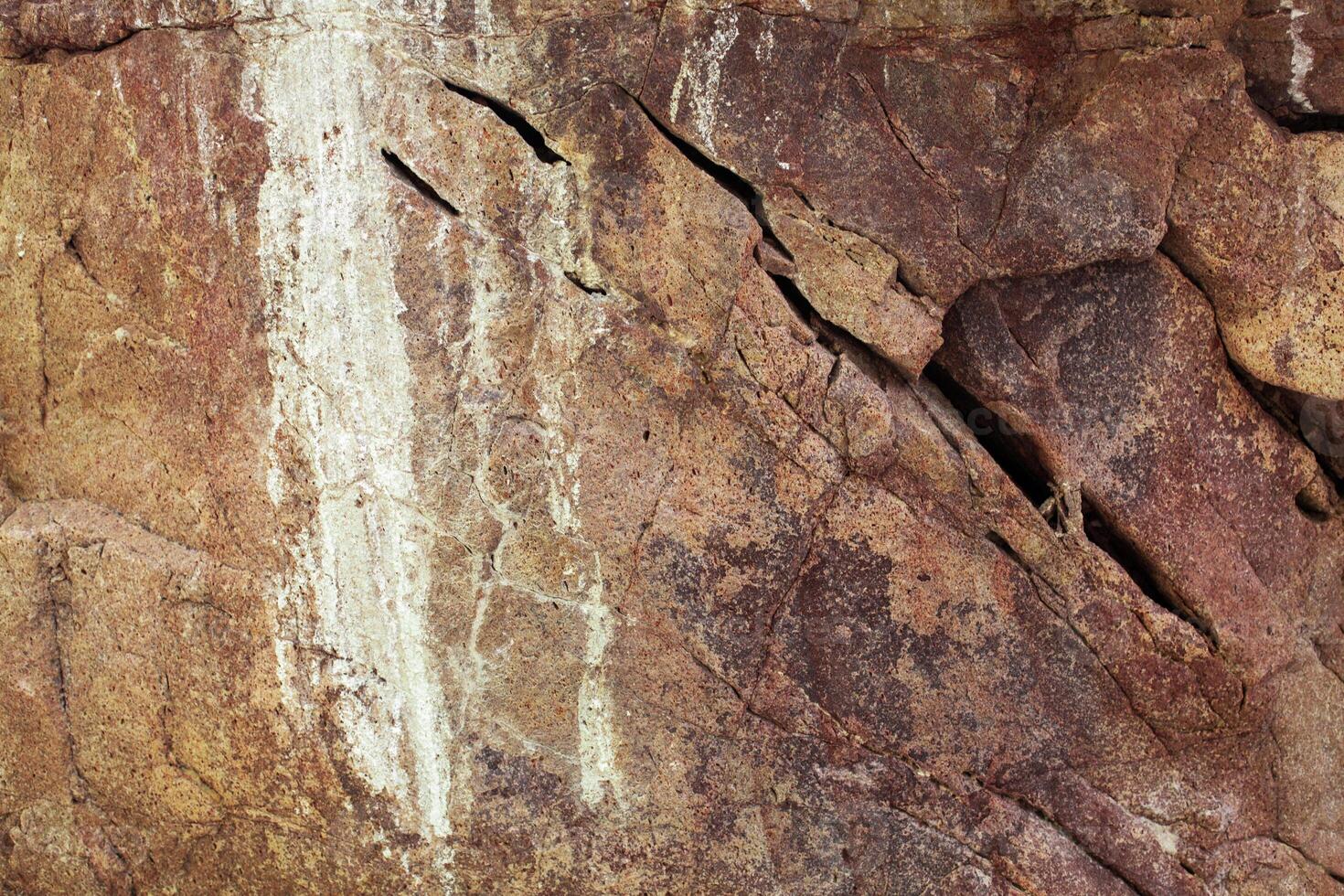 natural colored pattern on a single stone with moss and fungus wind Salts time photo