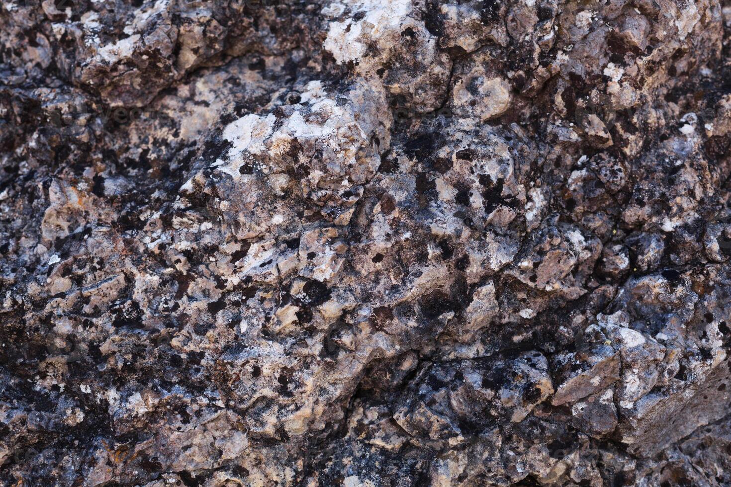 natural colored pattern on a single stone with moss and fungus wind Salts time photo