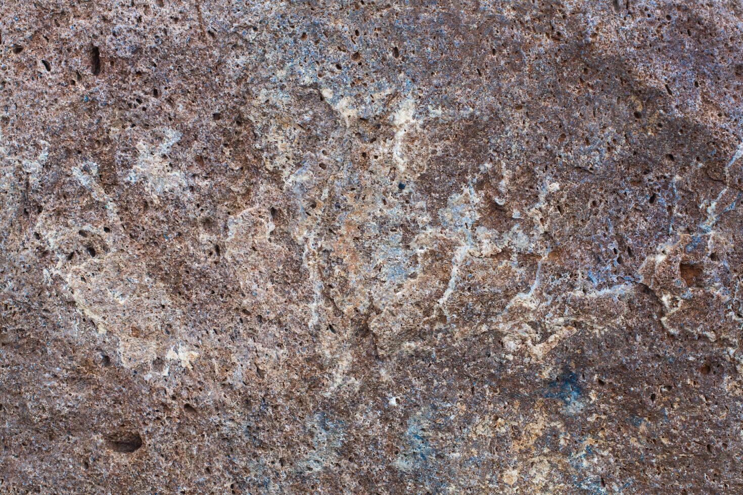 natural colored pattern on a single stone with moss and fungus wind Salts time photo