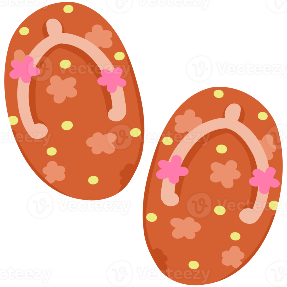 Beach Slippers illustration png