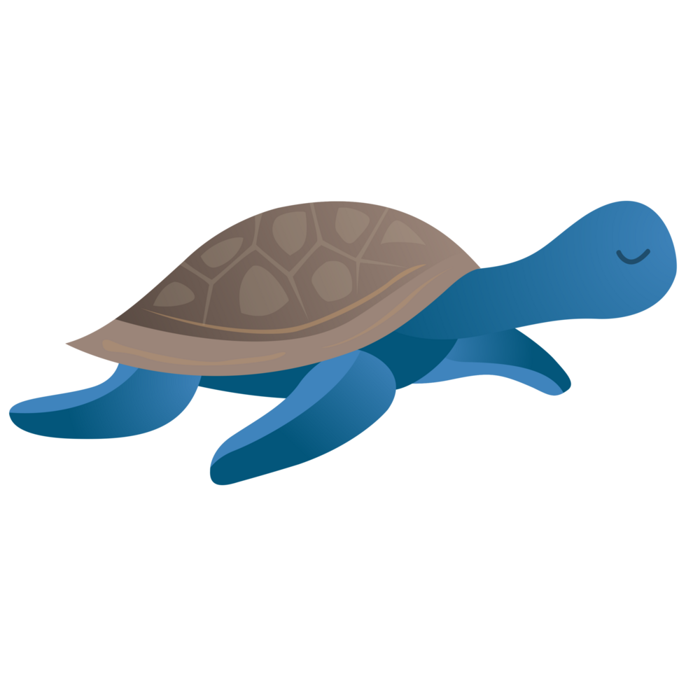 Cute sea turtle png