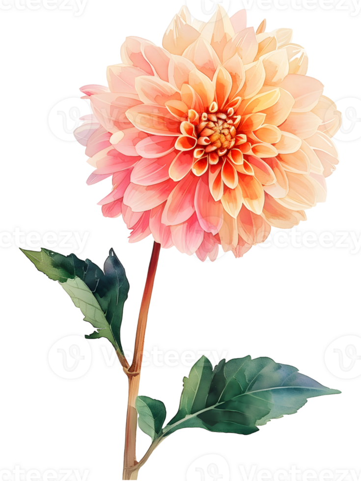 AI generated Watercolor bouquet chrysanthemum, november birth month flower, design for prints and cards png