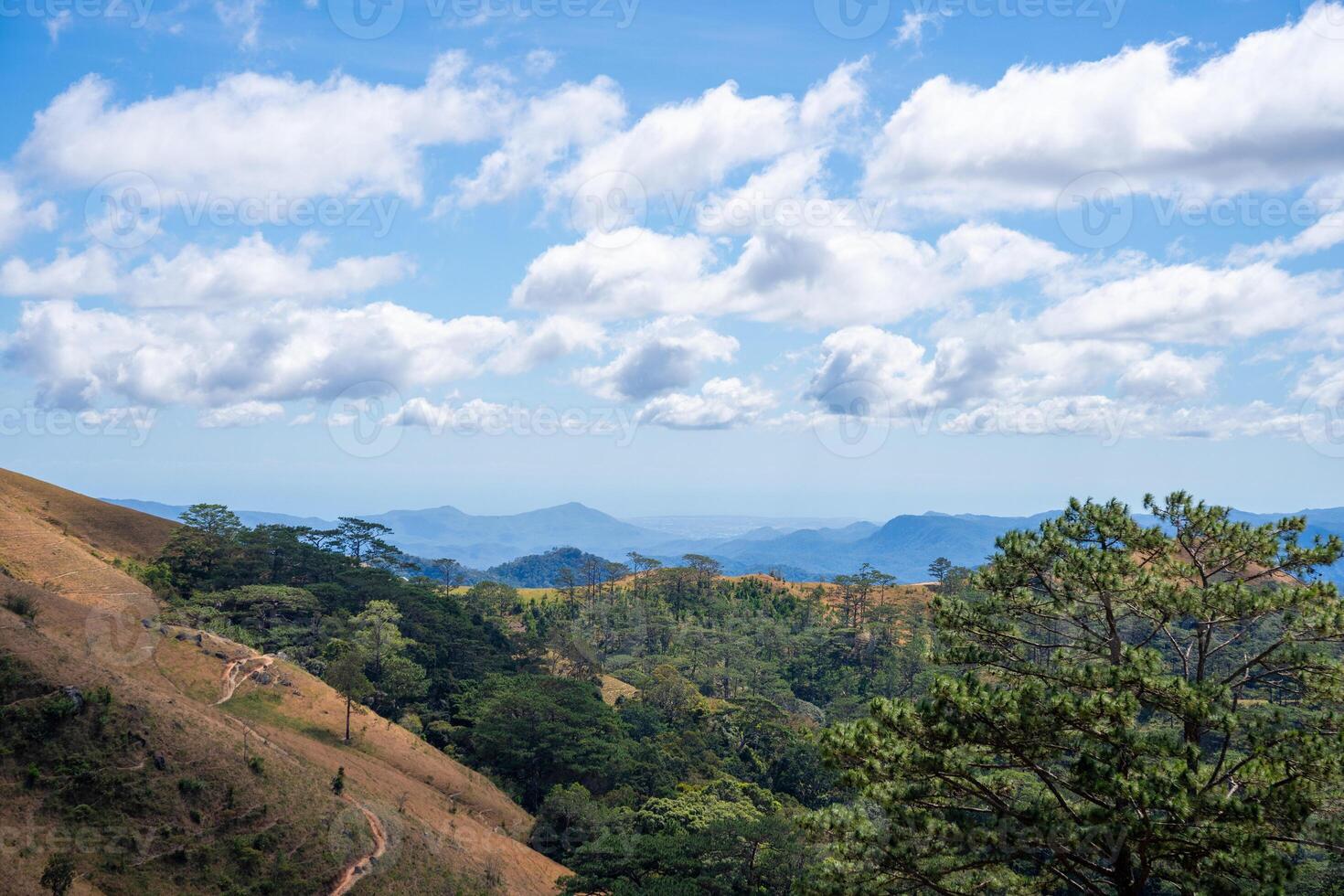 Ta Nang - Phan Dung route with milestone between 3 provinces through grass hills and forests in Song Mao Nature Reserve photo