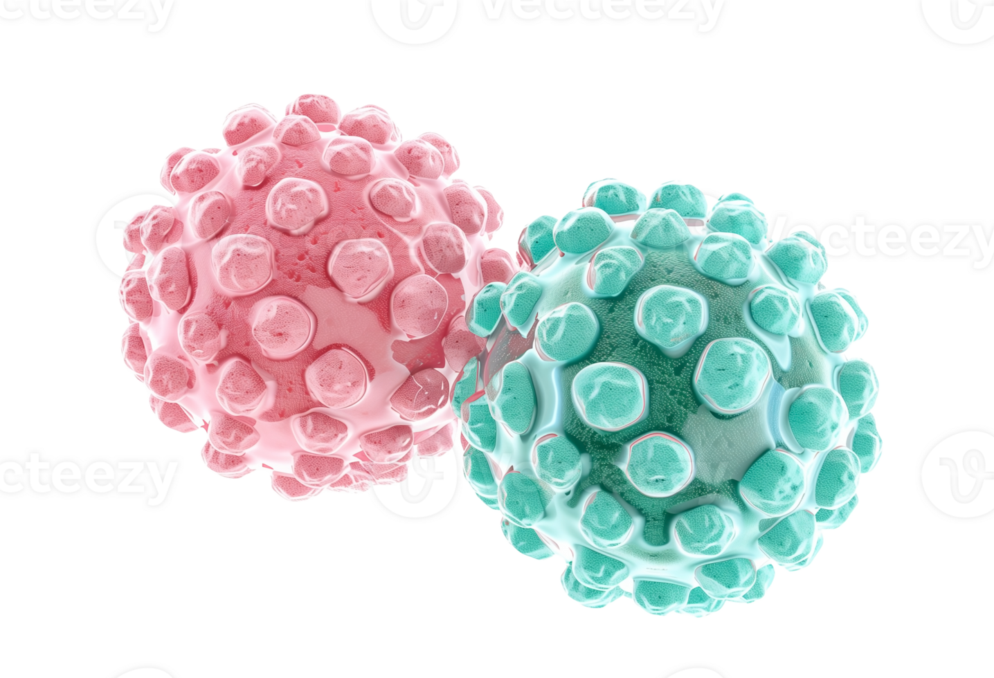 AI generated 3D rendering of two spherical virus models, one pink and one green, depicted with detailed surface proteins, isolated on a transparent background png