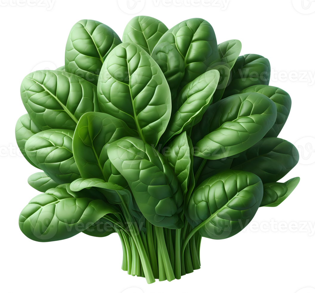 AI generated Spinach png brunch of spinach png spinach brunch png green vegetable png spinach transparent background spinach without background