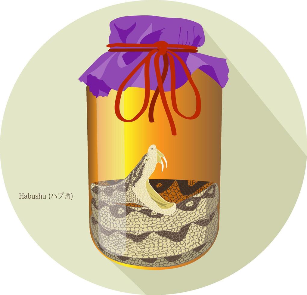 Hand drawn vector illustration of Habushu, Habu Sake or Okinawan Snake Wine - an awamori-based liqueur made in Okinawa, Japan