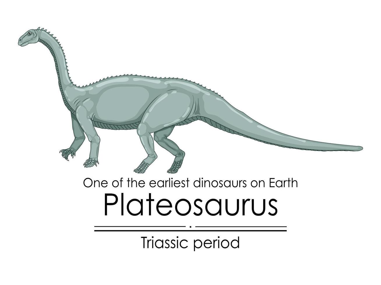 plateosaurio, uno de el más temprano dinosaurios en tierra vector