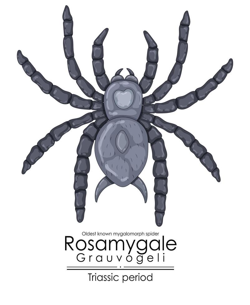 The prehistoric spider Rosamygale grauvogeli is the oldest known mygalomorph vector