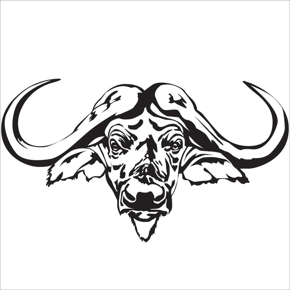 Buffalo Head African Big 5 vector