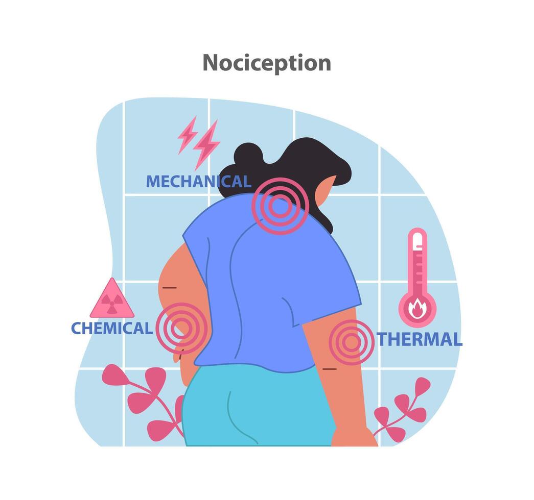 nocicepción ilustración. visualización de el del cuerpo respuesta a mecánico. vector