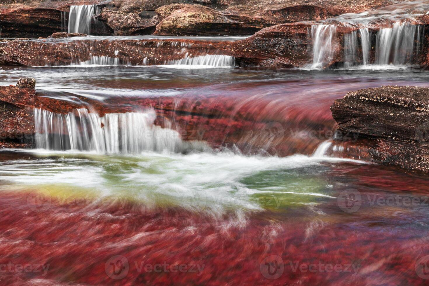 Cano Cristales is a river in Colombia that is located in the Sierra de la Macarena, in the department of Meta. It is considered by many as the Most Beautiful River in the World photo