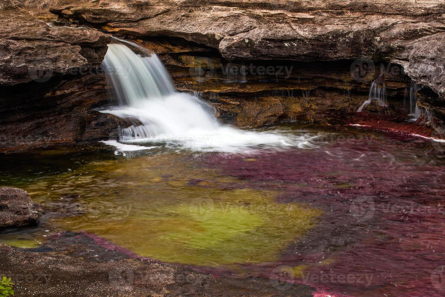 Cano Cristales is a river in Colombia that is located in the Sierra de la Macarena, in the department of Meta. It is considered by many as the Most Beautiful River in the World photo