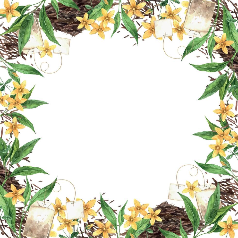 Watercolor frame on a tea theme with fresh and dry tea, a tea bag and tutsan. Illustration is hand drawn, suitable for menu design, packaging, poster, website, textile, invitation, brochure, textile vector