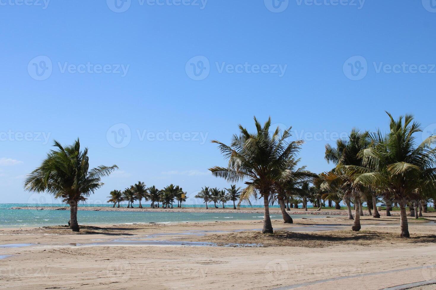 hermosa tiempo de día ver de real comisión playa en yanbu, saudi arabia foto