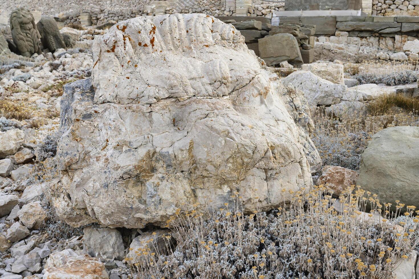 león estatua cerca el comagene Rey Antíoco yo tumba en el parte superior de montar nemrut, adiyaman provincia, Turquía foto