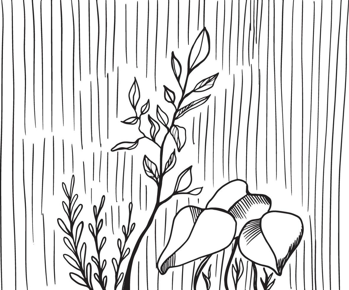 linear tropical plants, laina plants, sketch hand drawn illustration vector