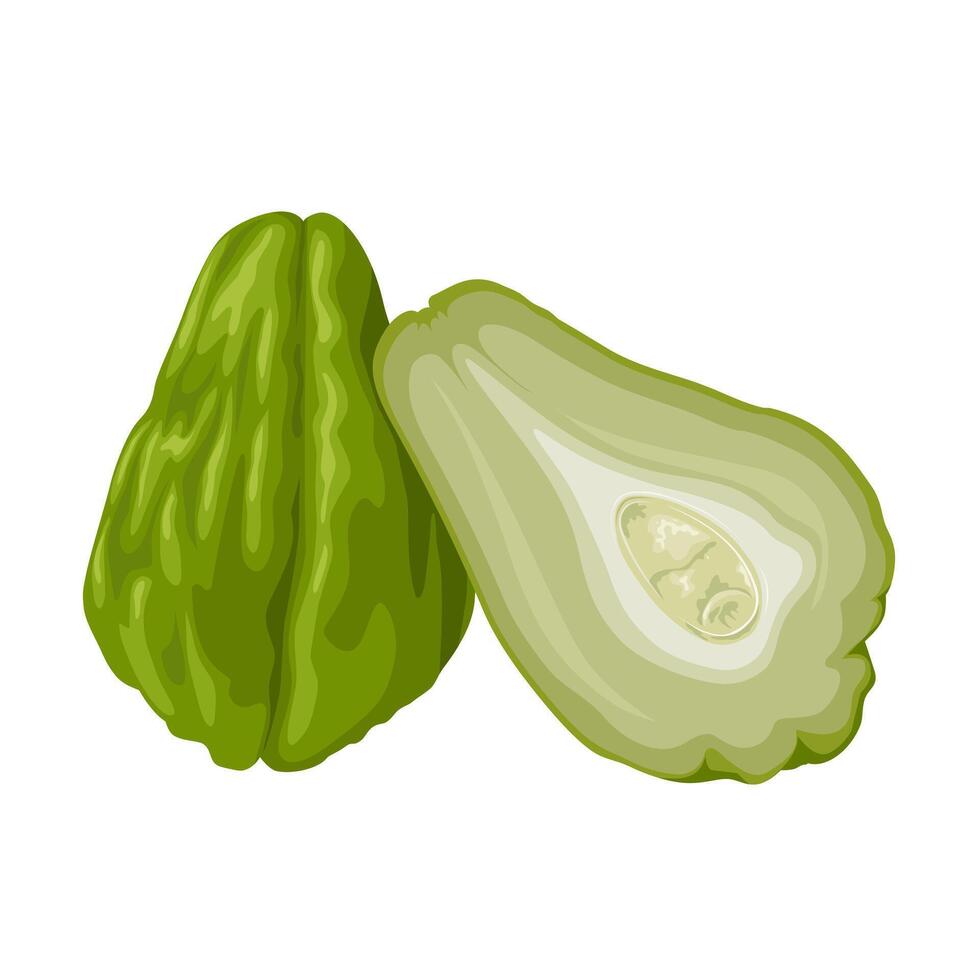 Vector illustration, Whole and halved chayote, also known as mirliton and choko, scientific name Sechium edule, isolated on white background.