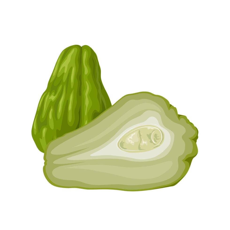 Vector illustration, Whole and halved chayote, also known as mirliton and choko, scientific name Sechium edule, isolated on white background.