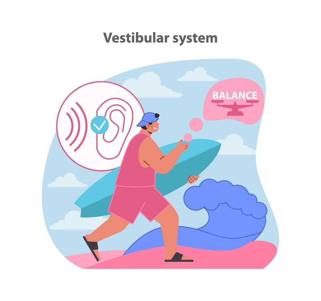 Vestibular system illustration. A man engaging with balance. vector