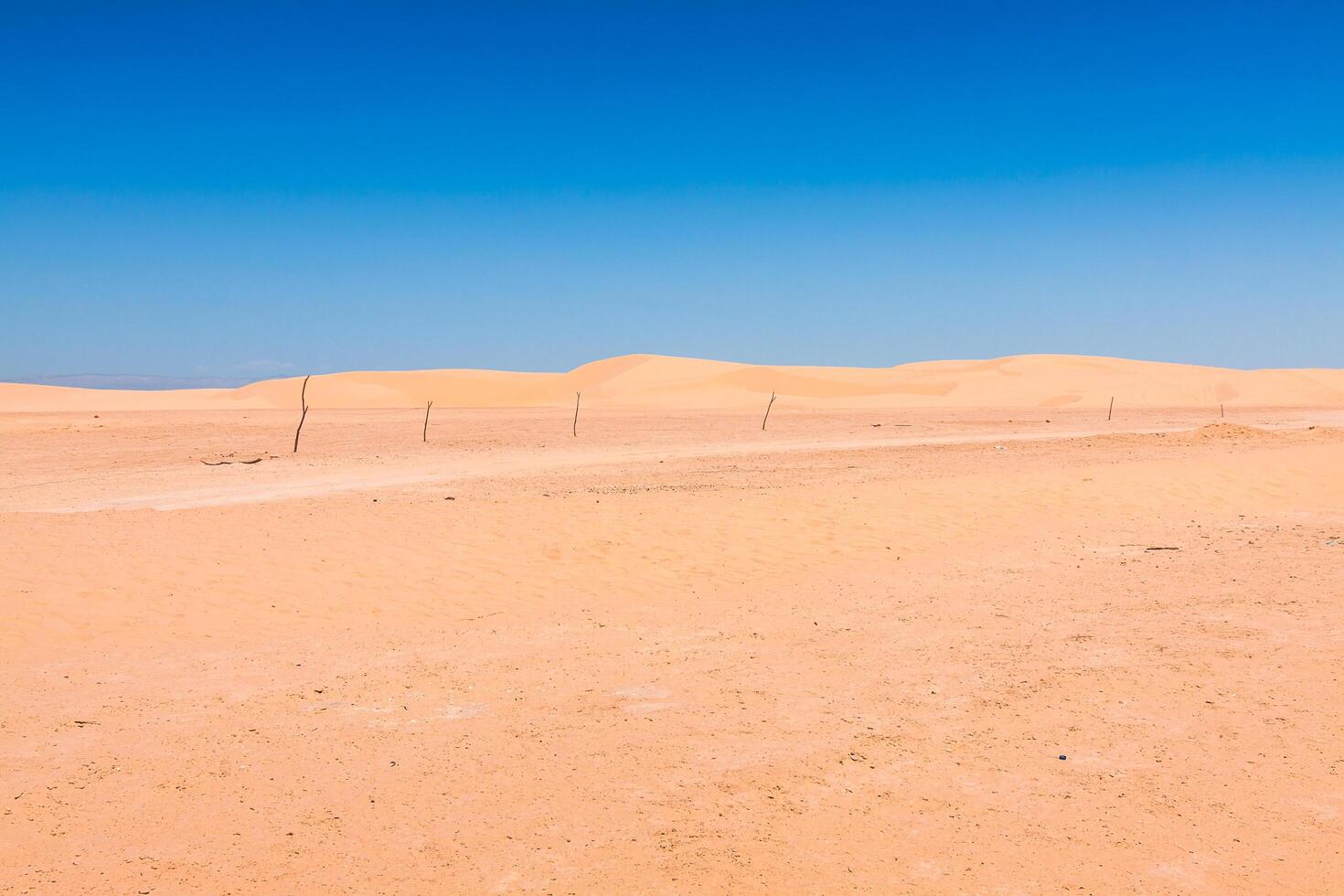 Sand dunes of Sahara desert near Ong Jemel in Tozeur,Tunisia. photo