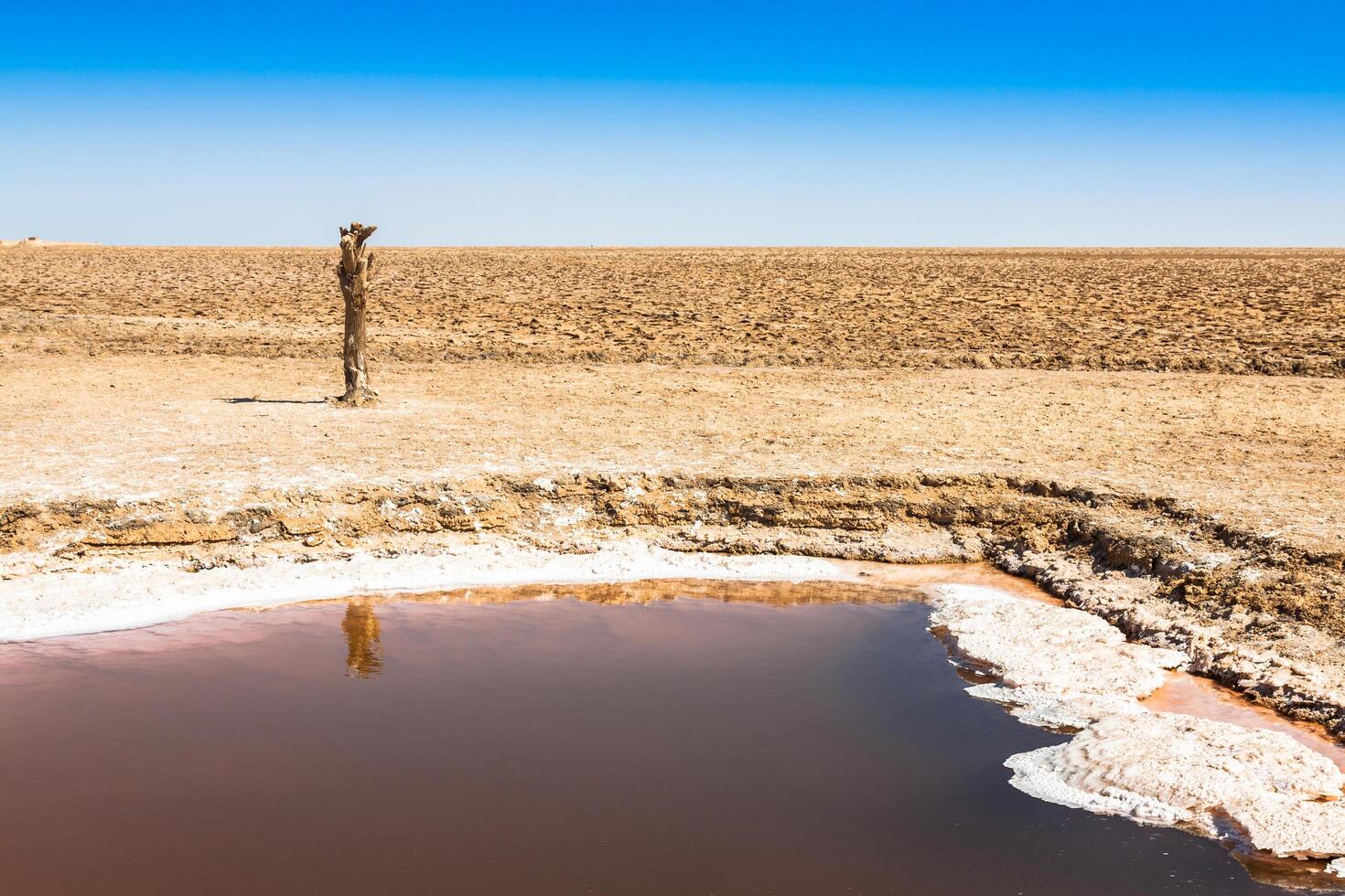 Chott el Djerid, sal lago en Túnez foto