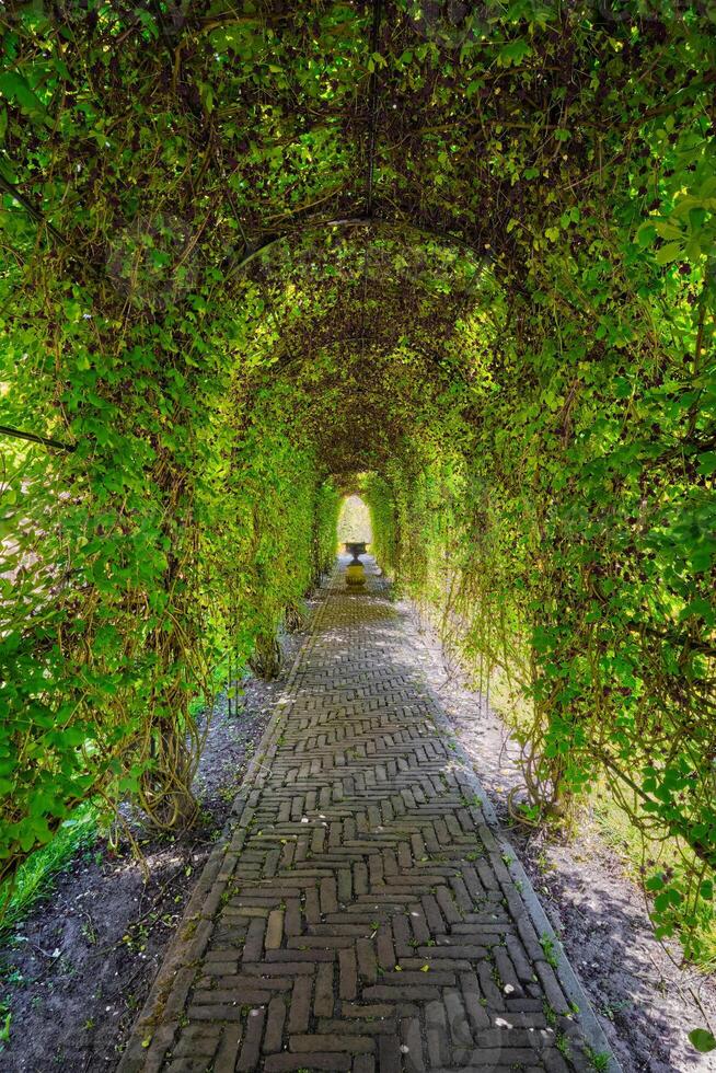 Green berceau arbour overgrown garden path photo