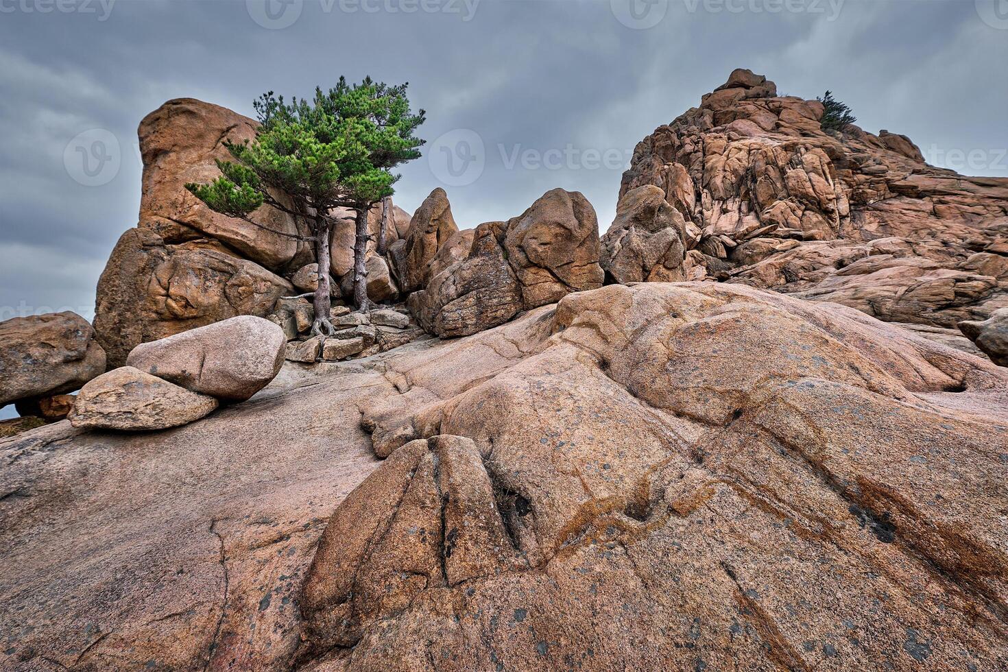 Rock with pine trees in Seoraksan National Park, South Korea photo