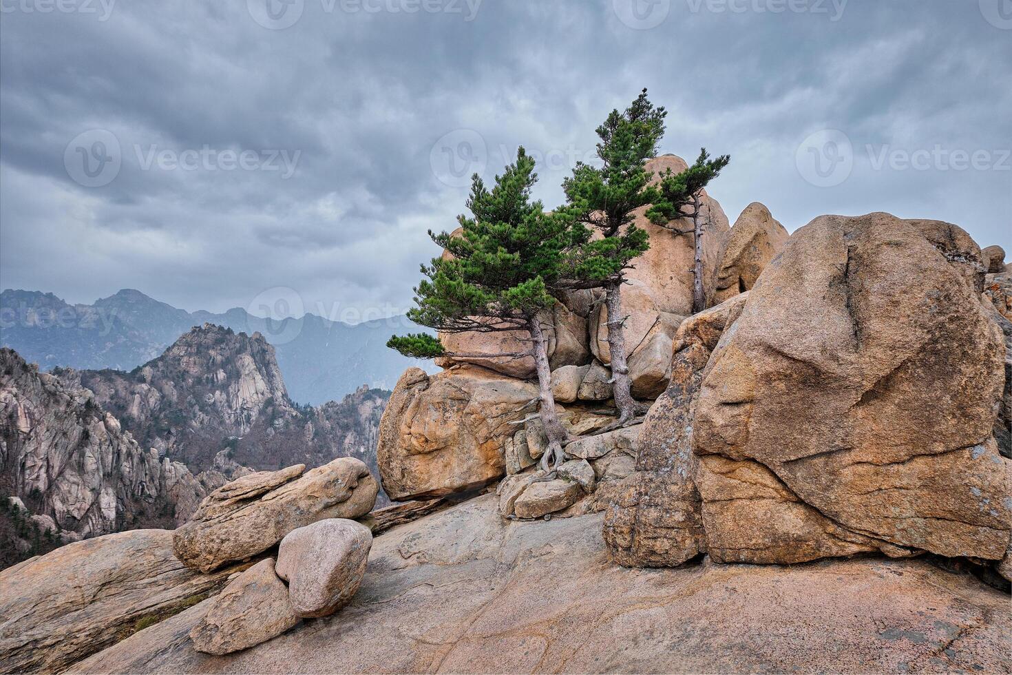 Rock with pine trees in Seoraksan National Park, South Korea photo