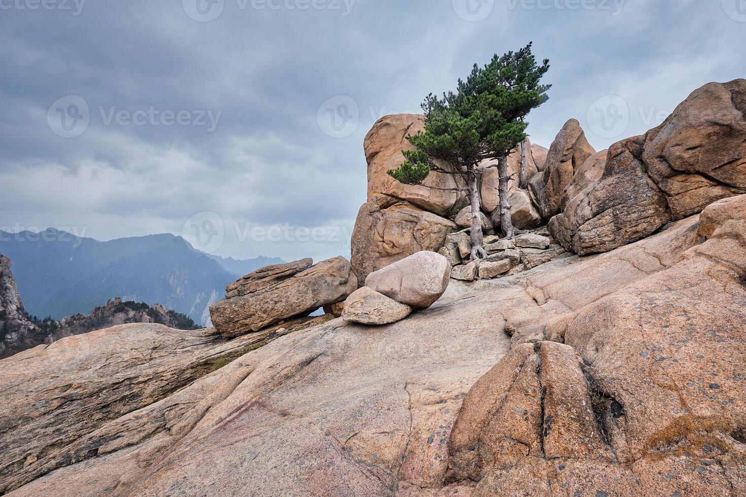 Rock with pine trees in Seoraksan National Park, South Korea photo