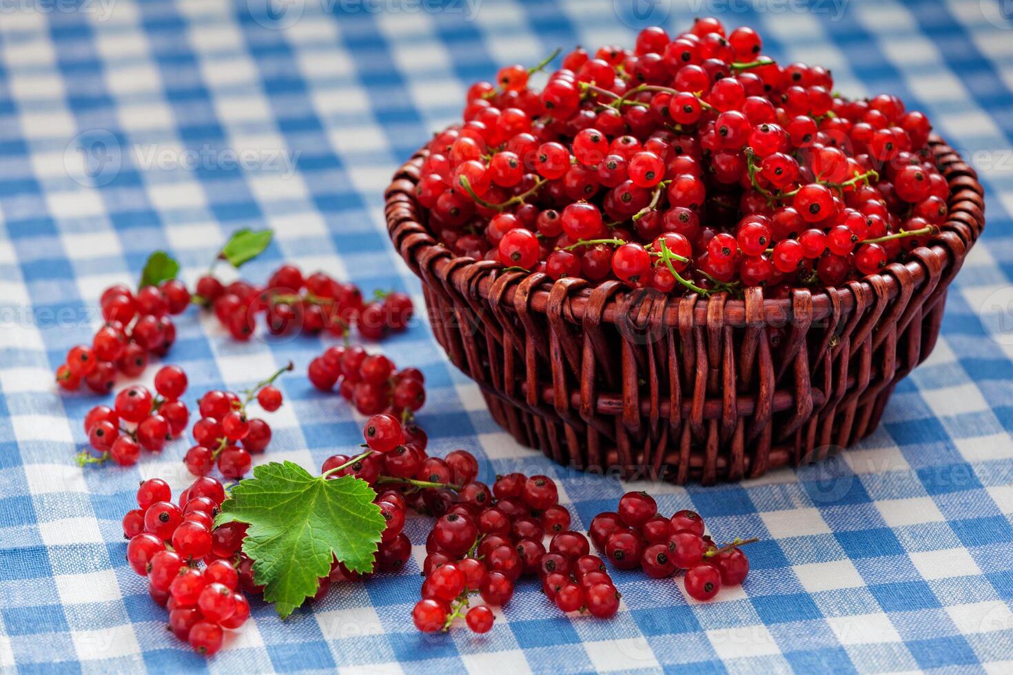 Redcurrant in wicker bowl on the table photo