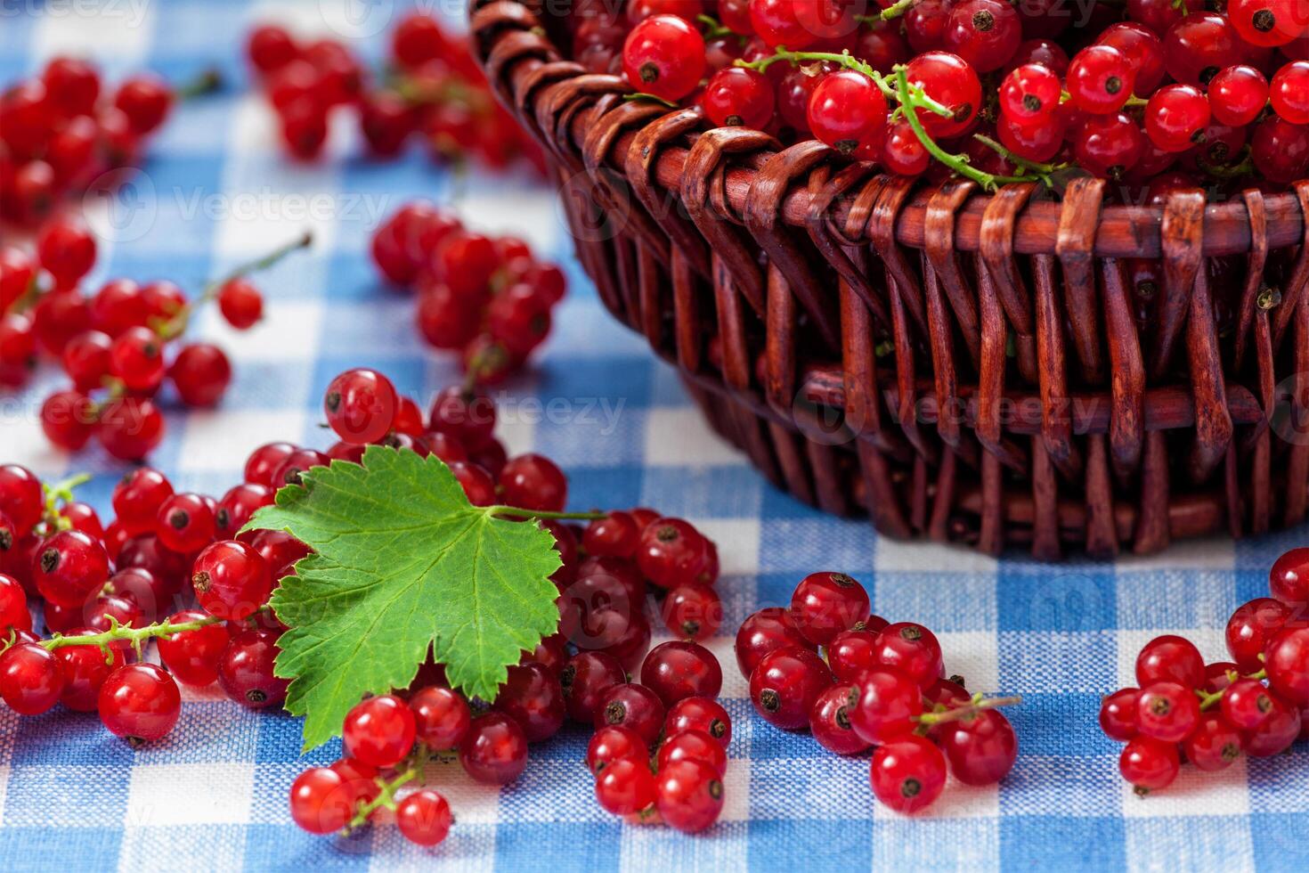Redcurrant in wicker bowl on the table photo