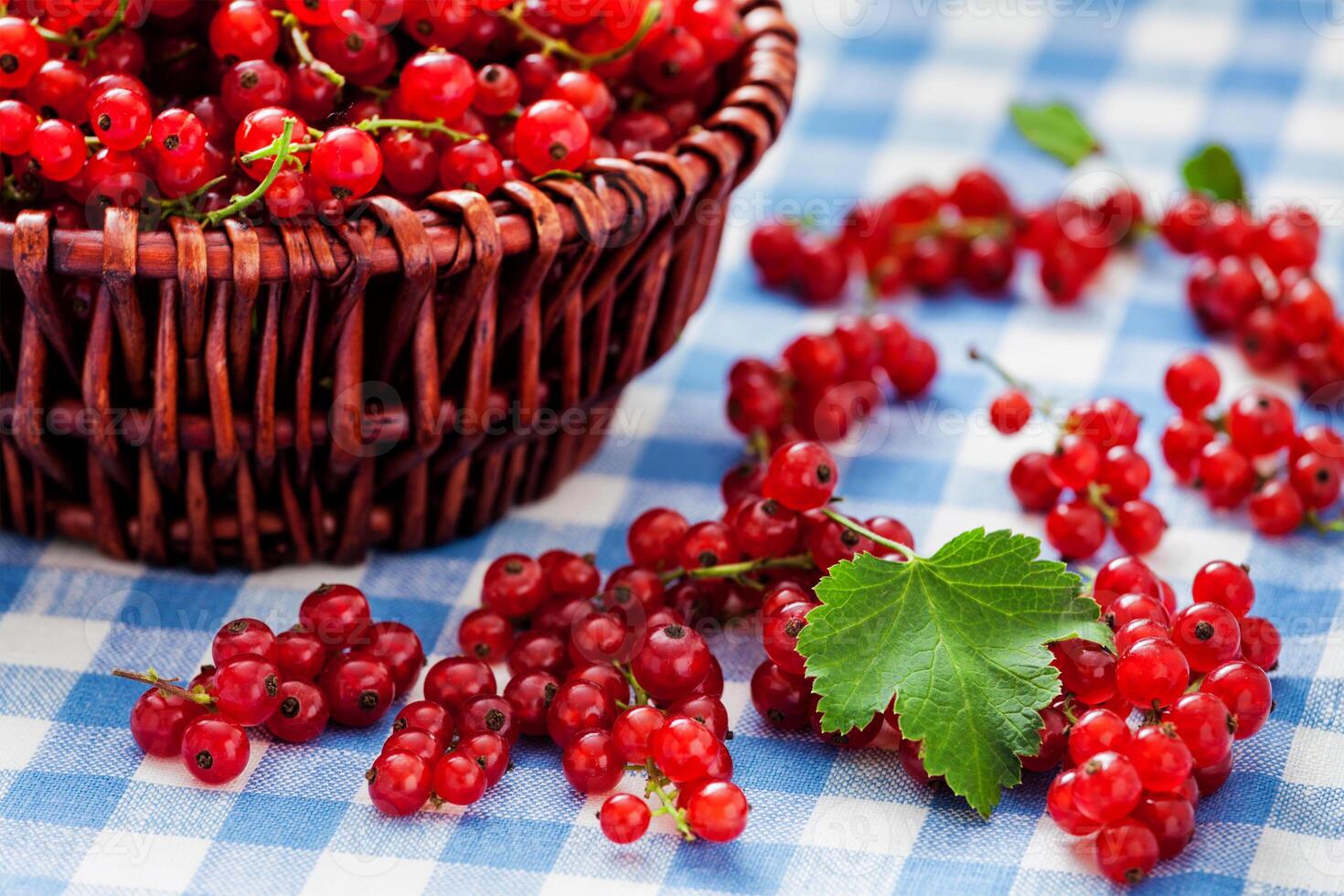 Redcurrant in wicker bowl on the table photo